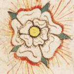 WHITE ROSE OF YORK